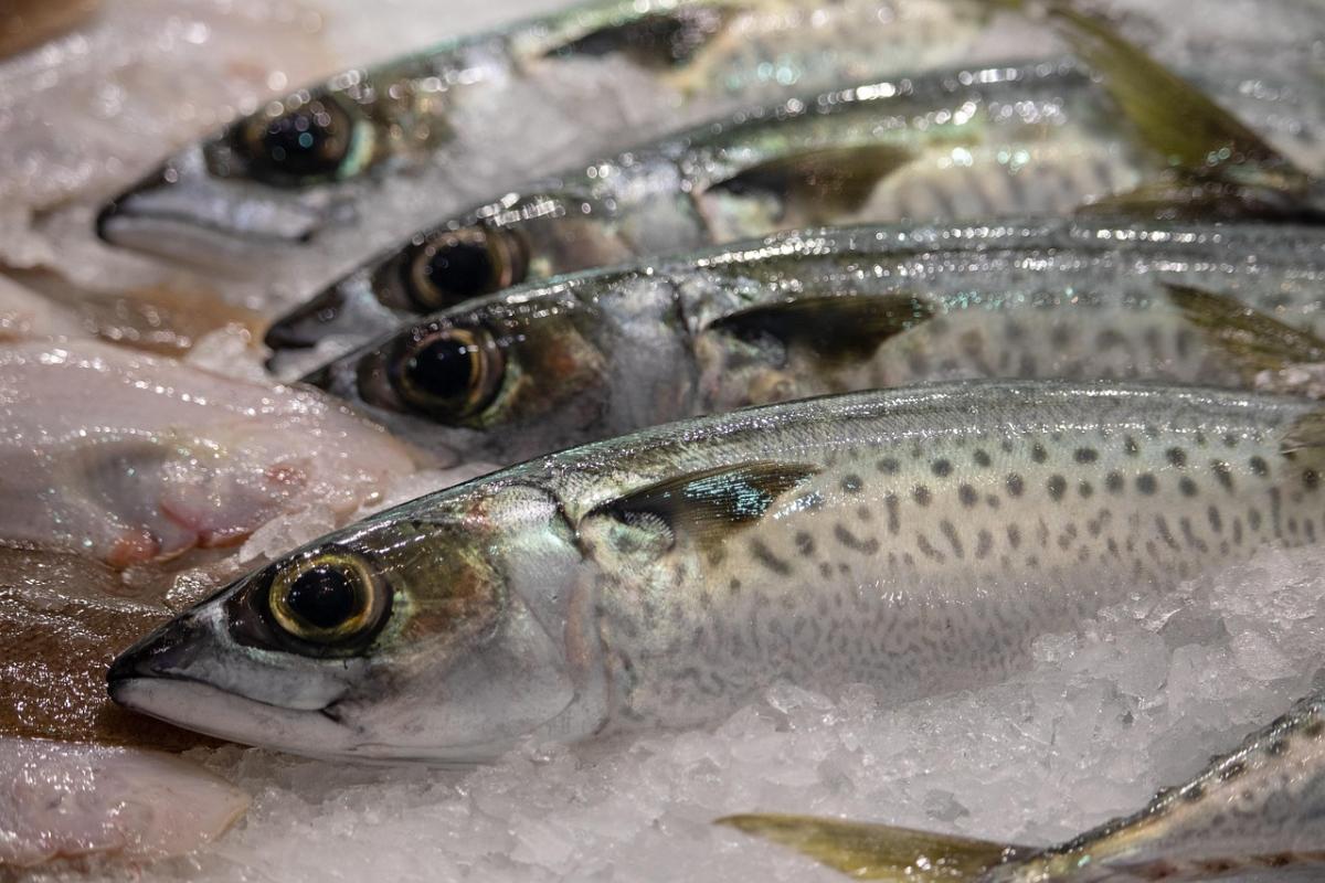 Ist Omega-3 gut für die Gelenke?